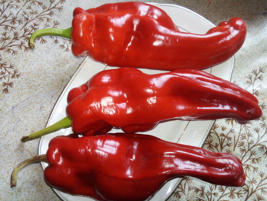 Испанский сладкий